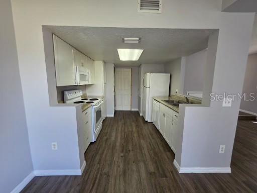 103 Coconut Palm Way Davenport, FL 33897 - Photo 2 of 18