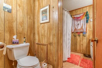 738 Speedwell Road Bulls Gap, TN 37711 - Photo 28 of 70 sw30