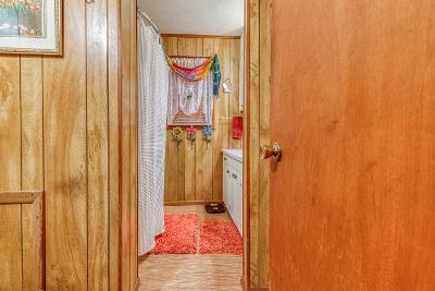 738 Speedwell Road Bulls Gap, TN 37711 - Photo 29 of 70 sw31