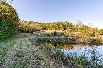738 Speedwell Road Bulls Gap, TN 37711 - Photo 34 of 70 sw36