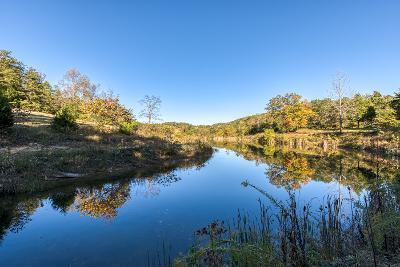 738 Speedwell Road Bulls Gap, TN 37711 - Photo 41 of 70 sw43
