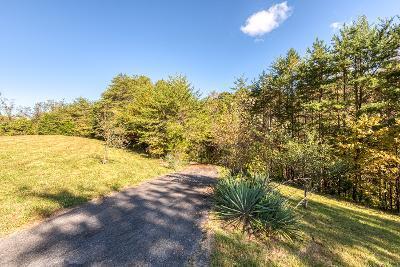738 Speedwell Road Bulls Gap, TN 37711 - Photo 43 of 70 sw45