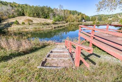738 Speedwell Road Bulls Gap, TN 37711 - Photo 64 of 70 sw65