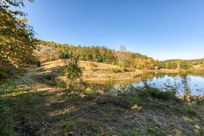 738 Speedwell Road Bulls Gap, TN 37711 - Photo 65 of 70 sw66
