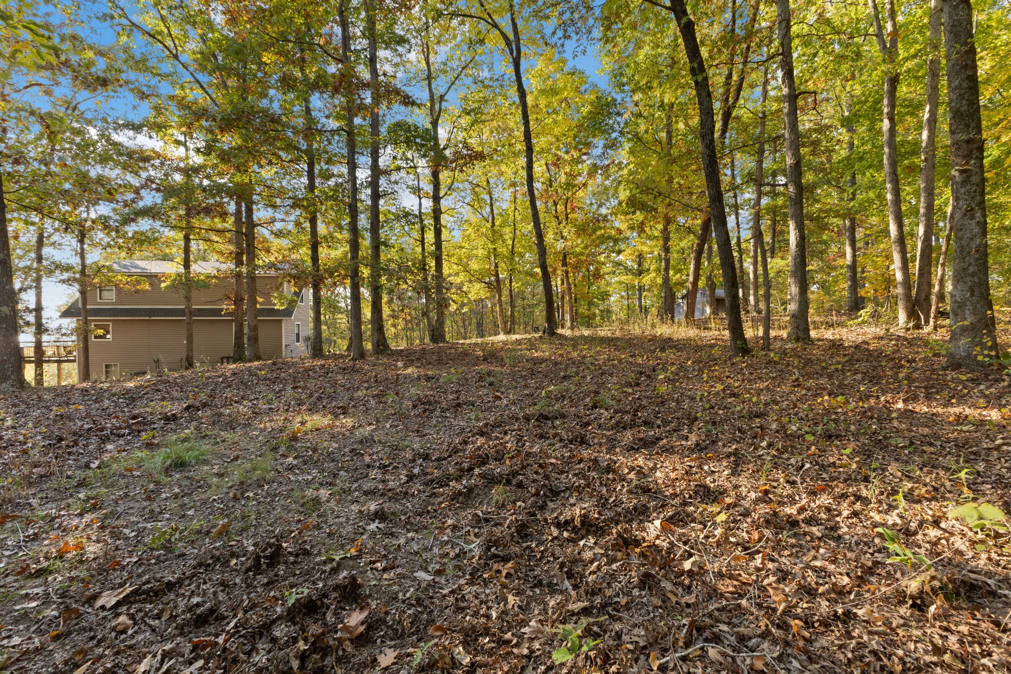 9828 Clydeton Road Waverly, TN 37185 - Photo 55 of 63