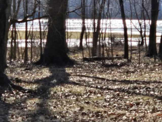 $550,000 | 9828 Clydeton Road, Waverly, TN 37185