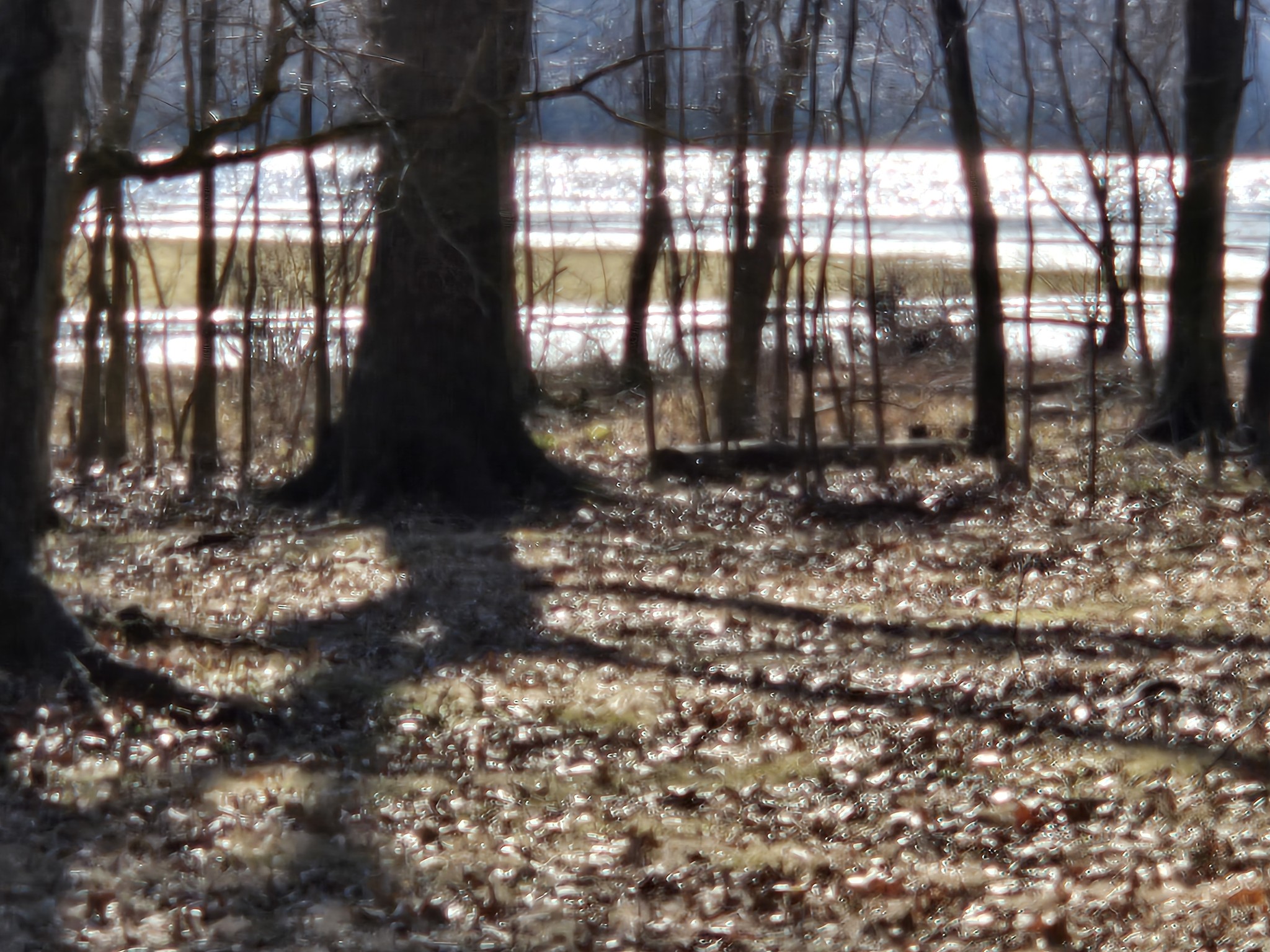 9828 Clydeton Road Waverly, TN 37185 - Photo 57 of 63