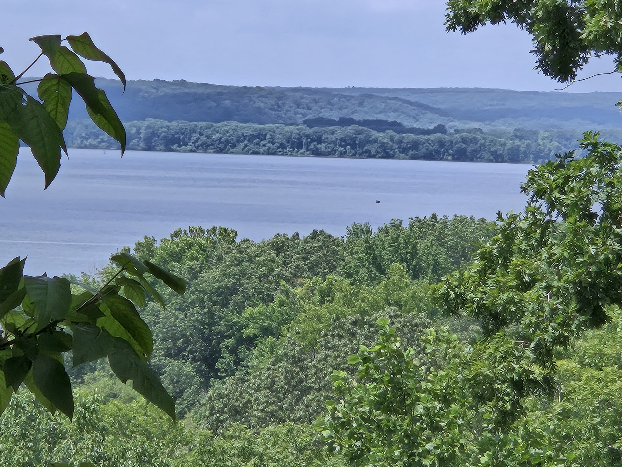 9828 Clydeton Road Waverly, TN 37185 - Photo 62 of 63