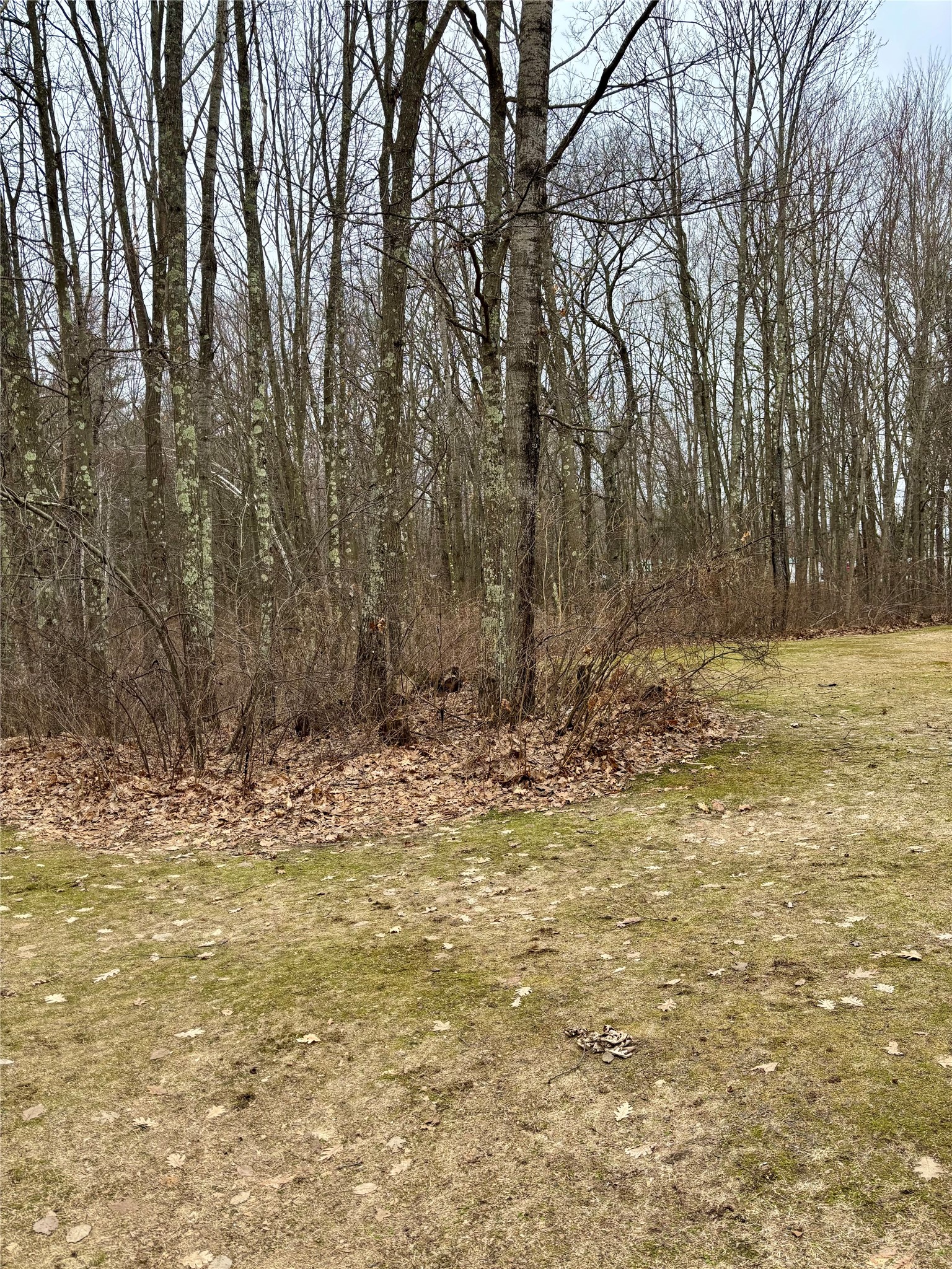 W855 Metcalf Road Stone Lake, WI 54876 - Photo 15 of 57