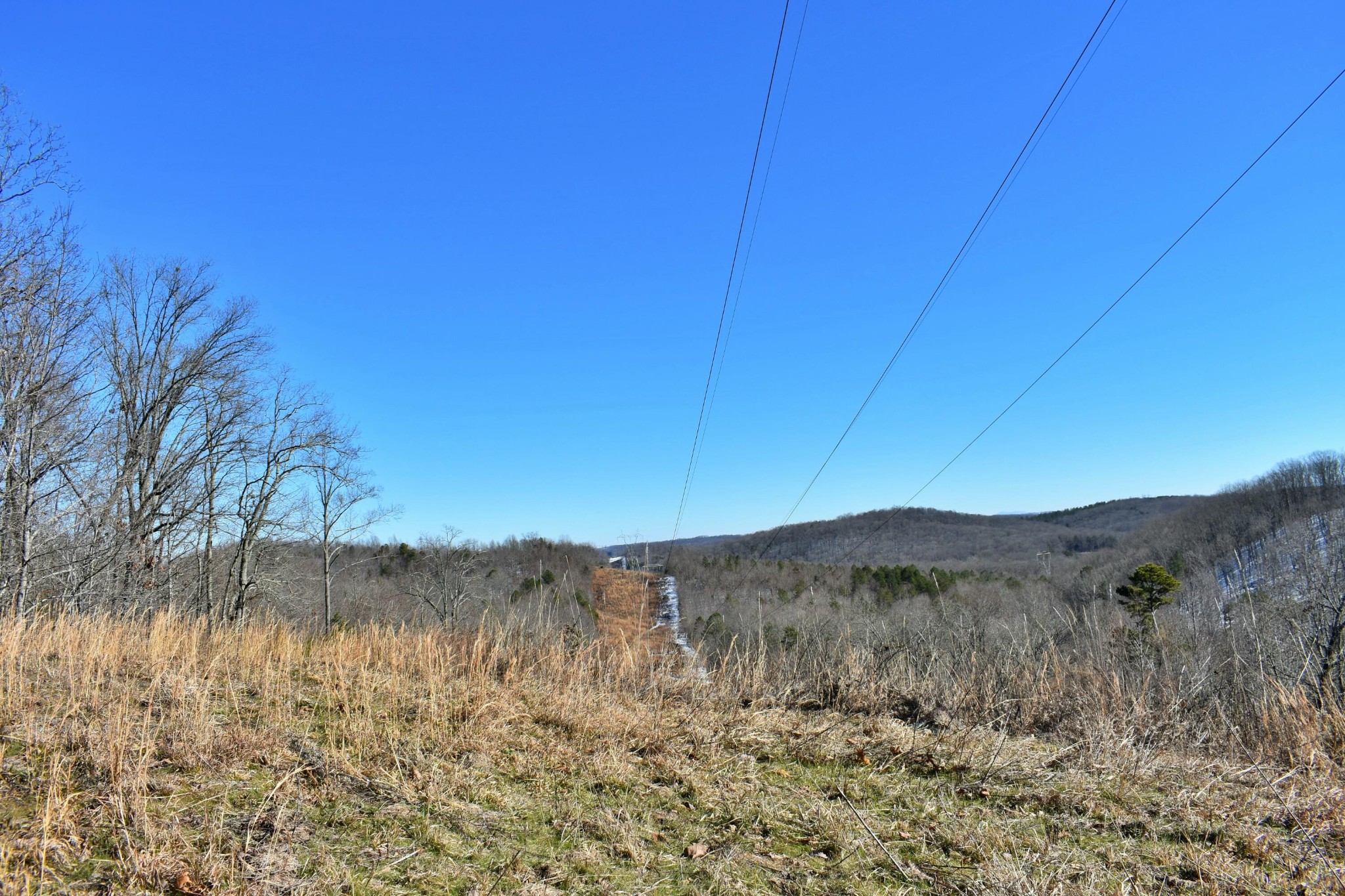1237 Little Egypt Road Ten Mile, TN 37880 - Photo 45 of 53 Gallery Image 45