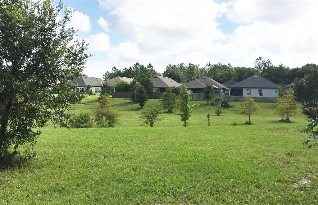 7879 Southwest 80th Drive Gainesville, FL 32608 - Photo 21 of 23 a view of a garden with a houses