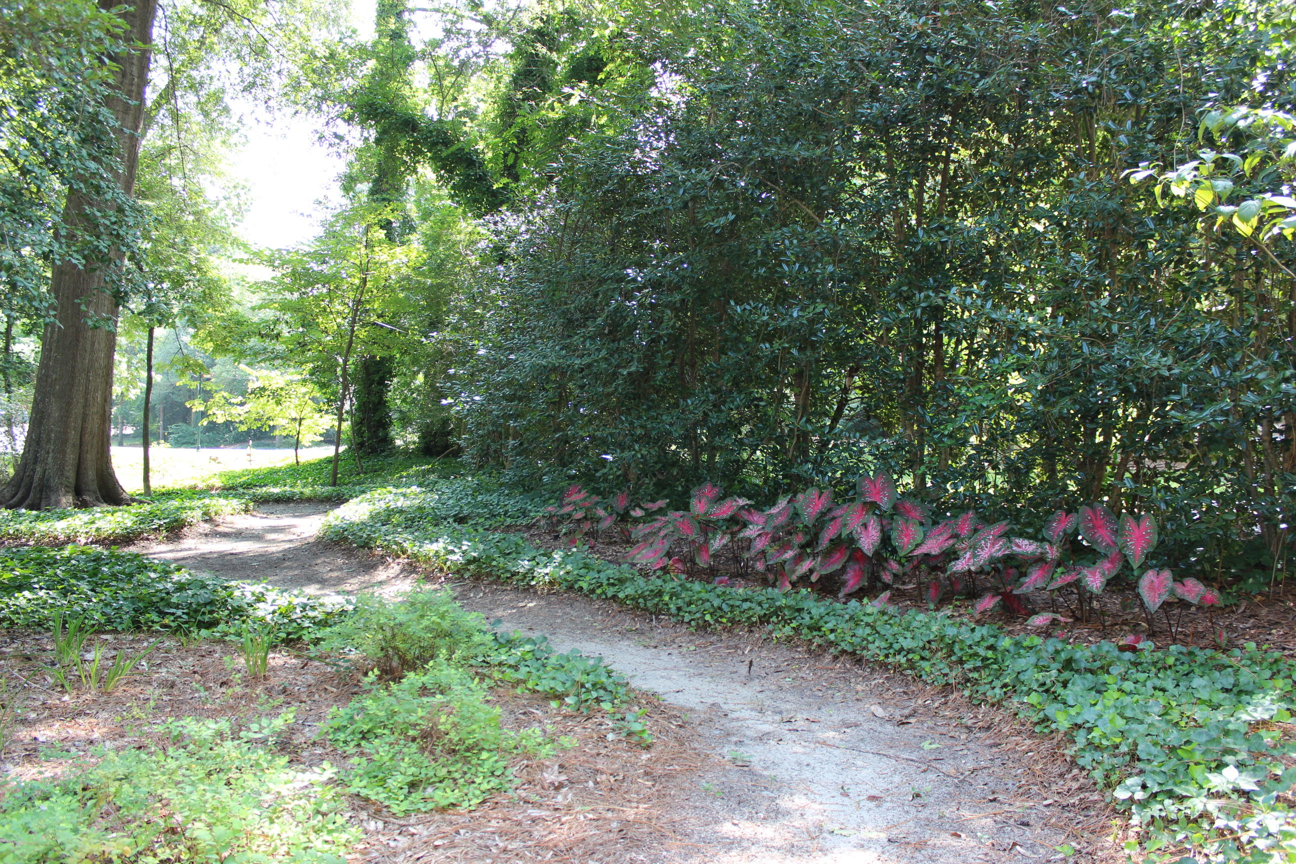 185 Barrett Road East Pinehurst, NC 28374 - Photo 25 of 37 IMG_0008