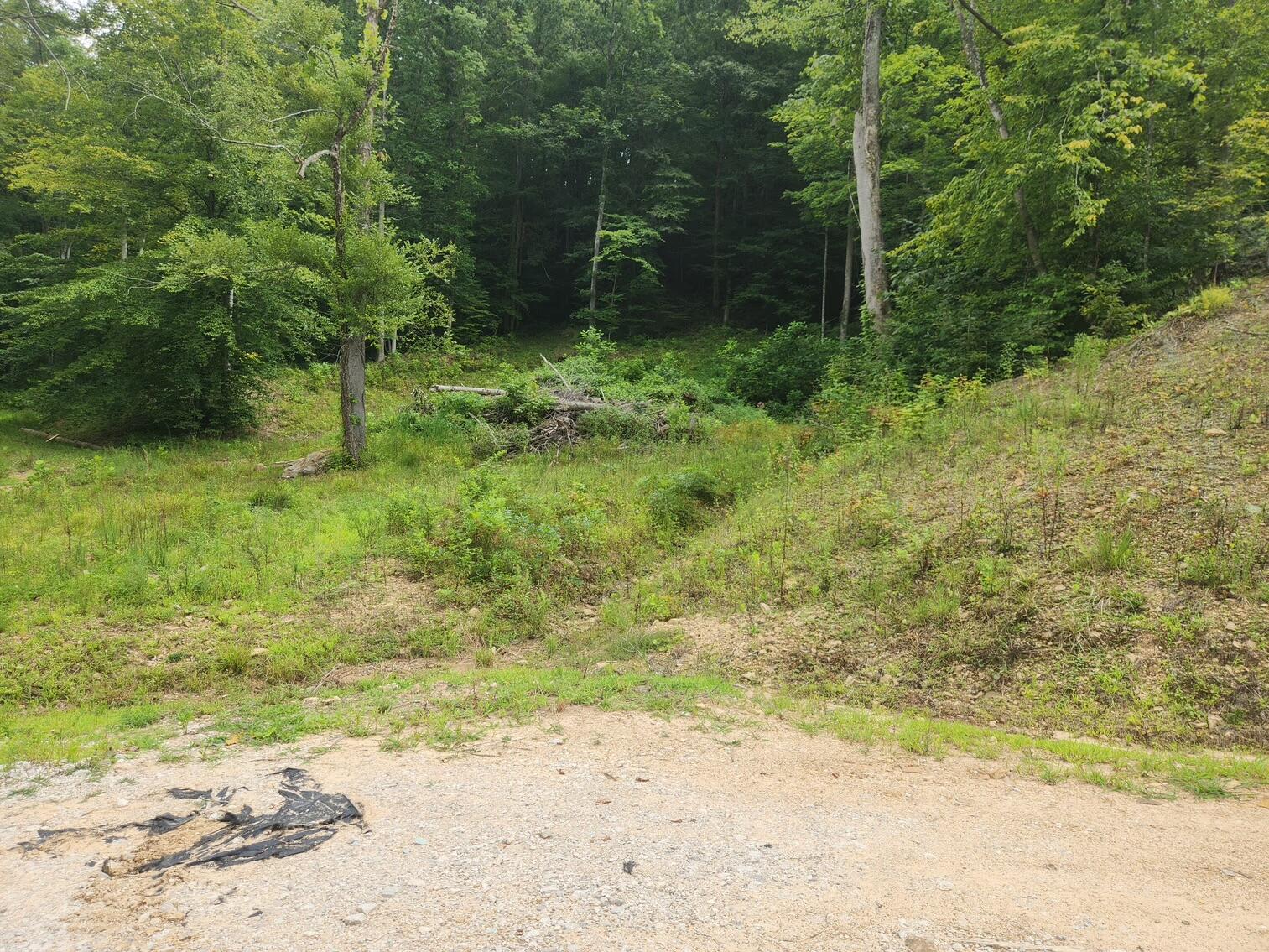 170 Birch Hollow Road Stanton, KY 40380 - Photo 14 of 25