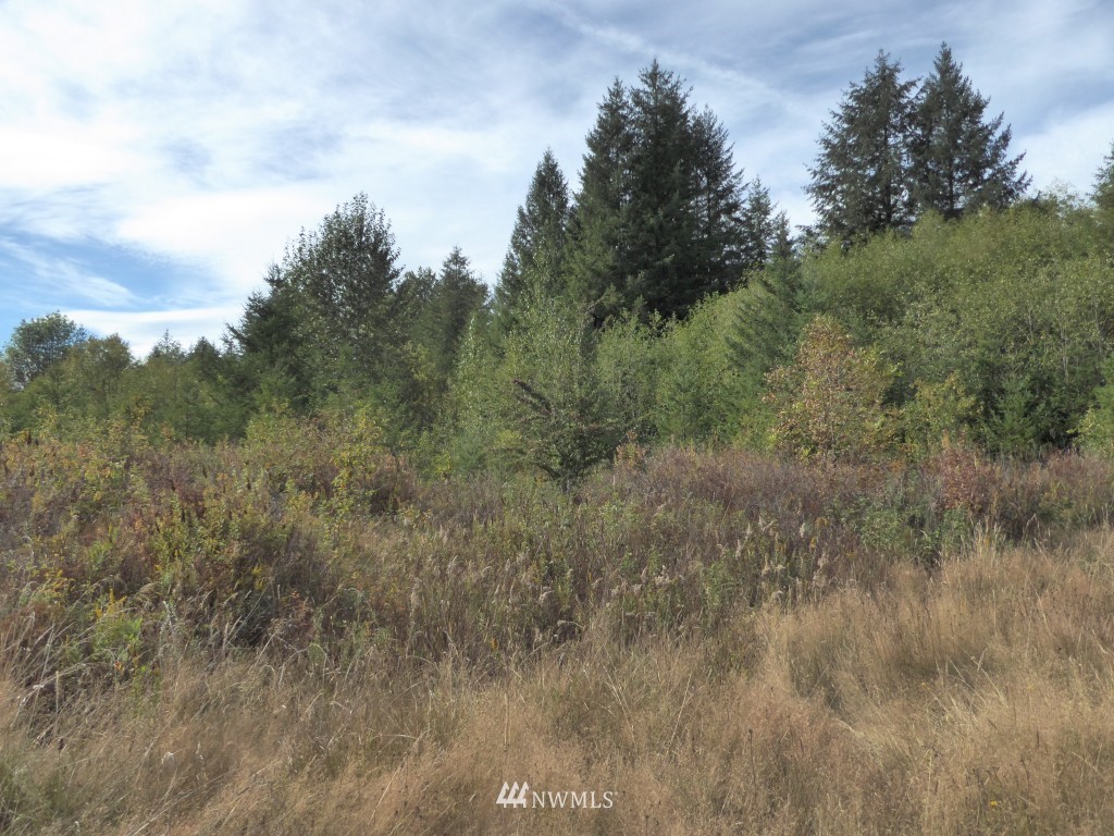 253 B Kruger Road Onalaska, WA 98570 - Photo 24 of 25 Gallery Image 24