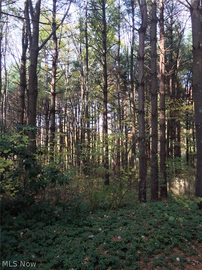 2471 Center Road Clinton, OH 44216 - Photo 17 of 18 Gallery Image 17