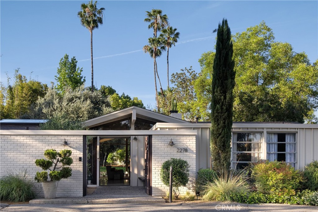2278 Arroyo Drive Riverside, CA 92506 - Photo 12 of 75 a view of a house with potted plants and a large tree