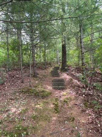 390 Hatchville Road Falmouth, MA 02536 - Photo 4 of 9 a backyard of a house with lots of green space