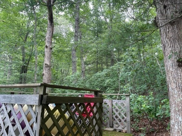 390 Hatchville Road Falmouth, MA 02536 - Photo 5 of 9 a street view with tall trees