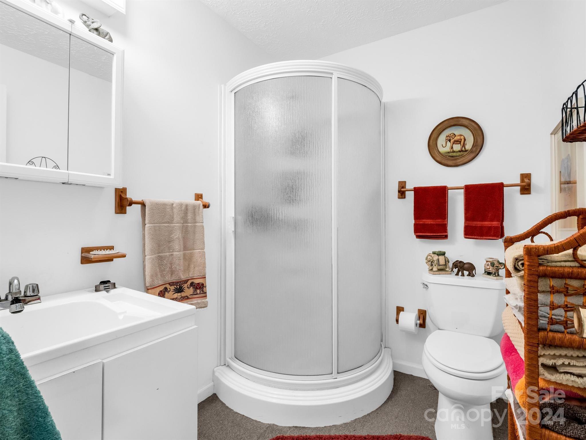 126 Cougar Road Casar, NC 28020 - Photo 27 of 47