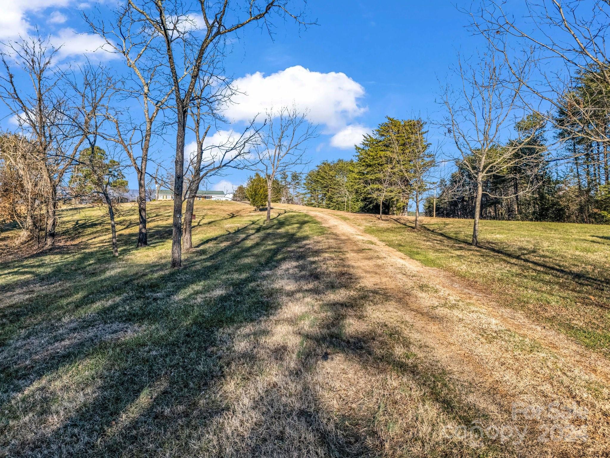 126 Cougar Road Casar, NC 28020 - Photo 3 of 47