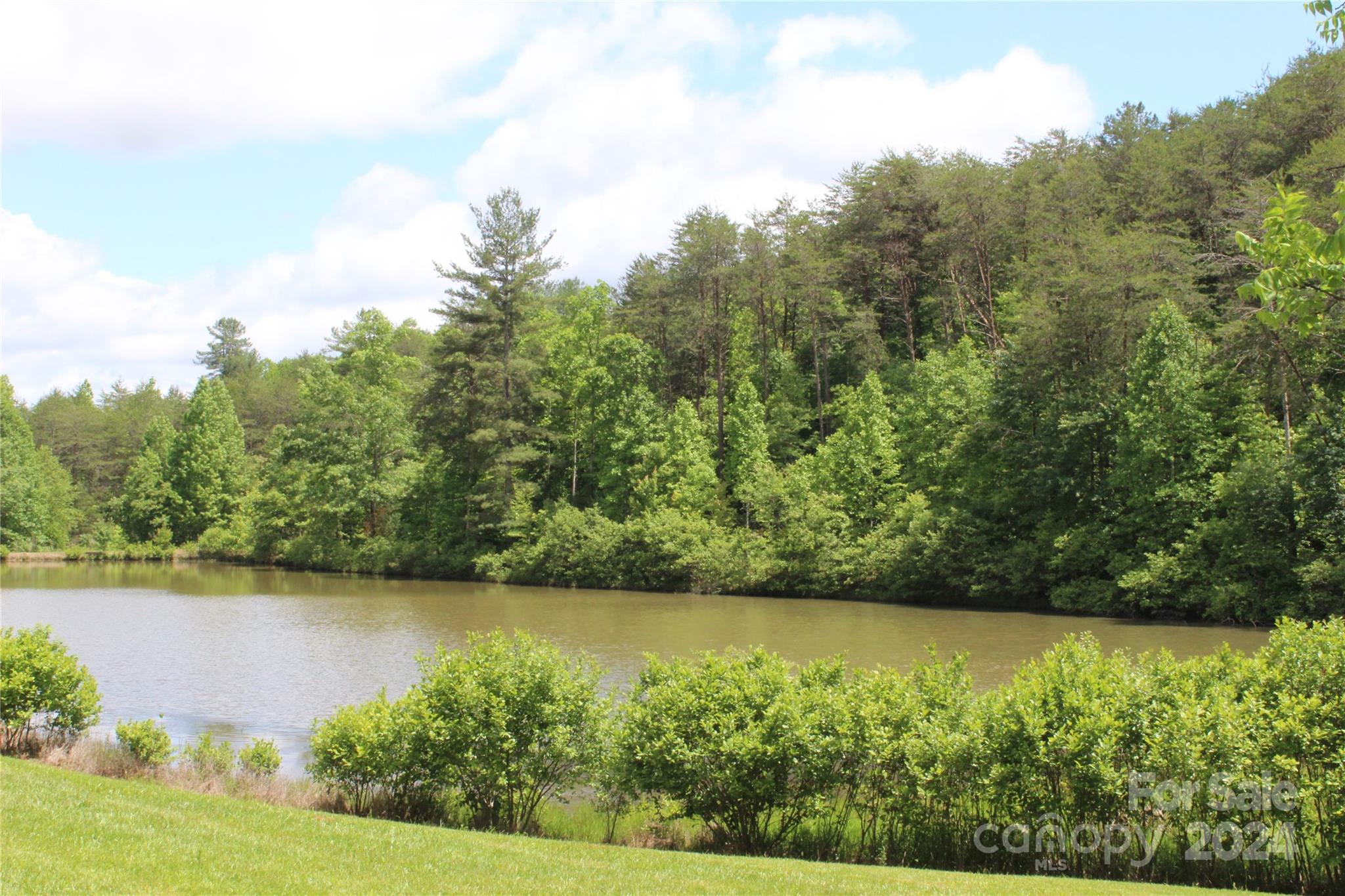 126 Cougar Road Casar, NC 28020 - Photo 45 of 47