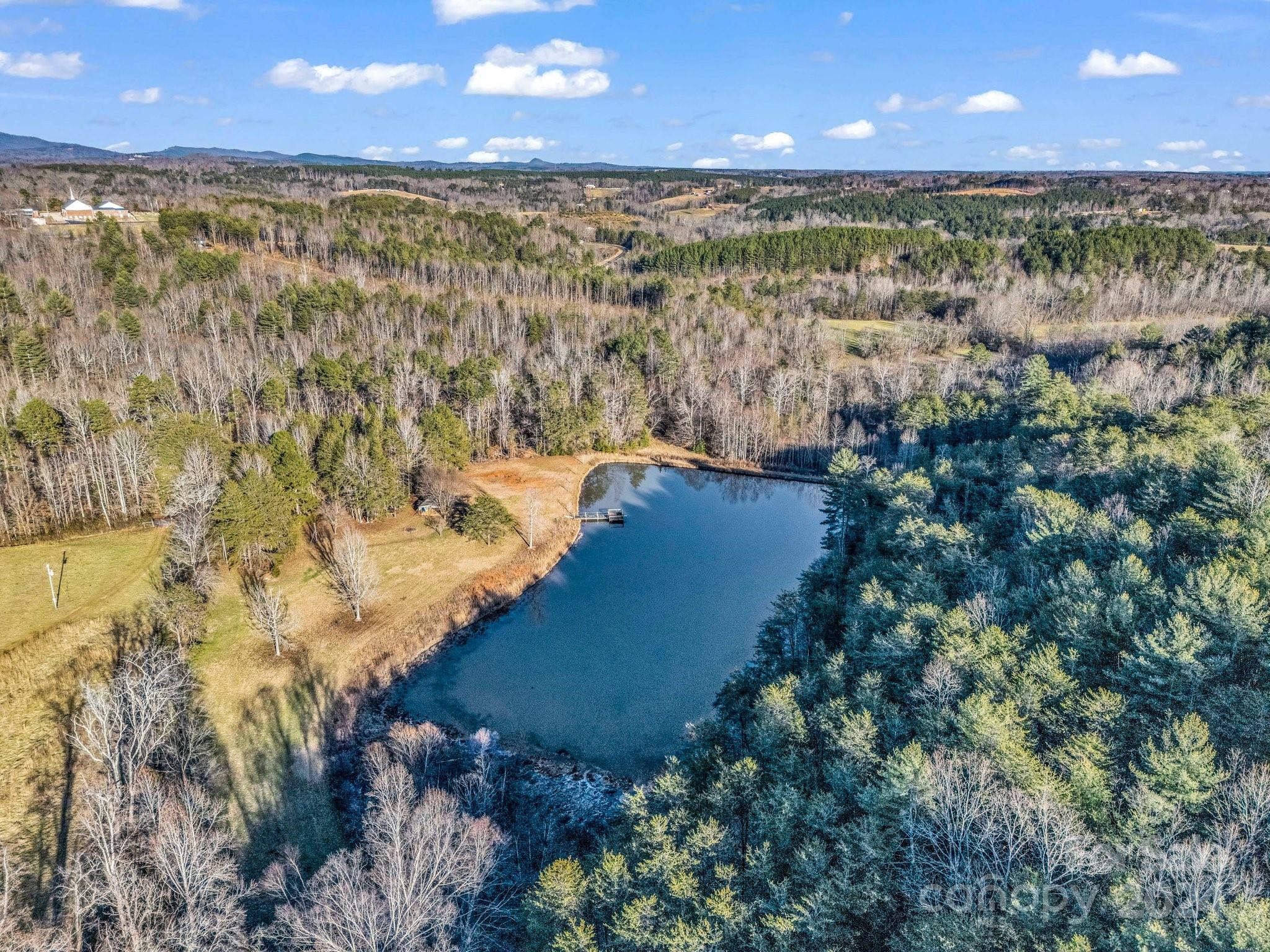 126 Cougar Road Casar, NC 28020 - Photo 8 of 47