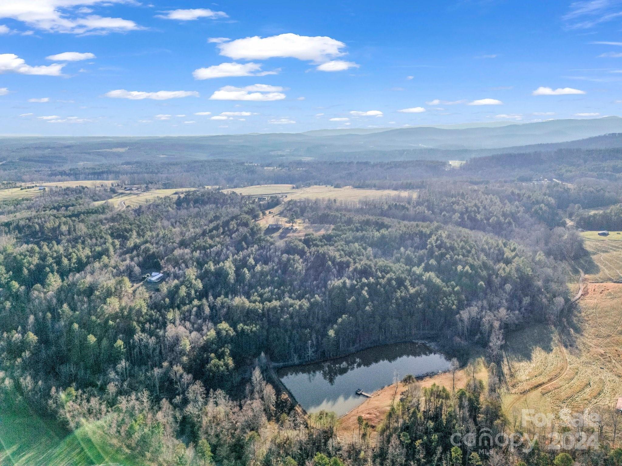 126 Cougar Road Casar, NC 28020 - Photo 9 of 47