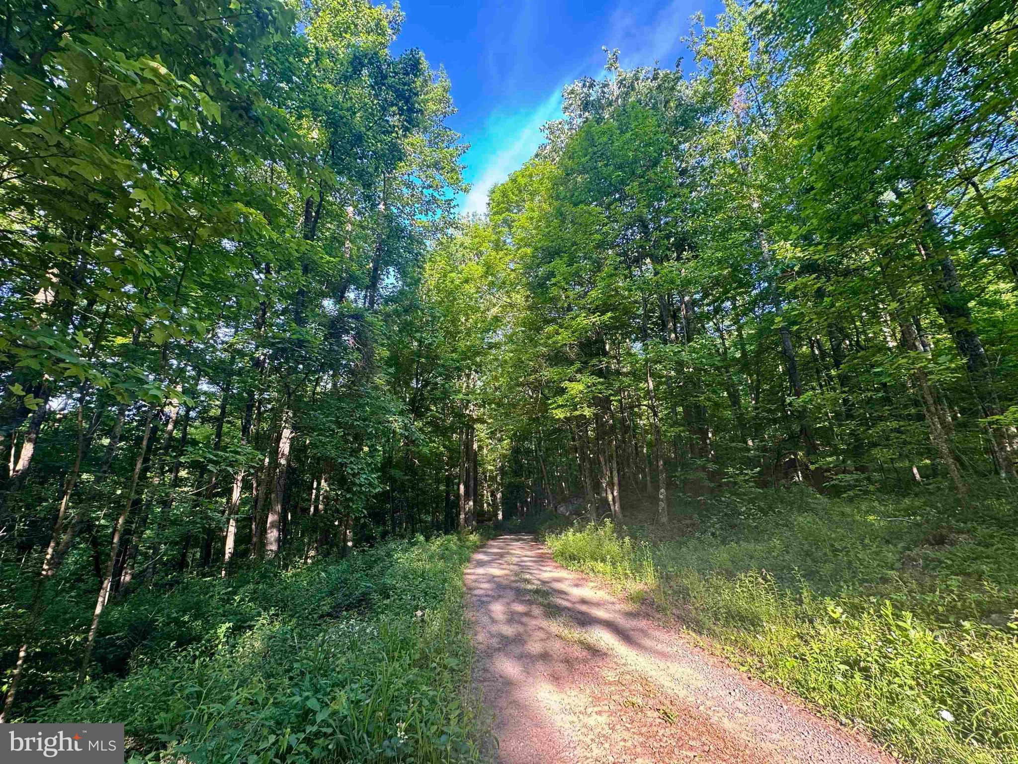 Tbd Calvert Shaver Road Rowlesburg, WV 26425 - Photo 6 of 39