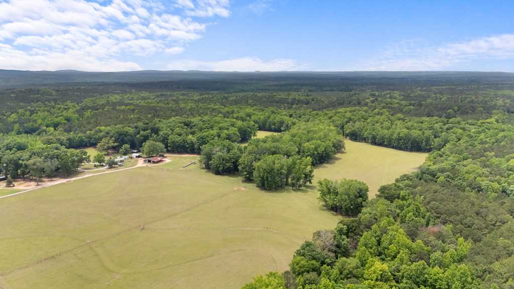 186 Beech Springs Road Pine Mountain, GA 31822 - Photo 19 of 59