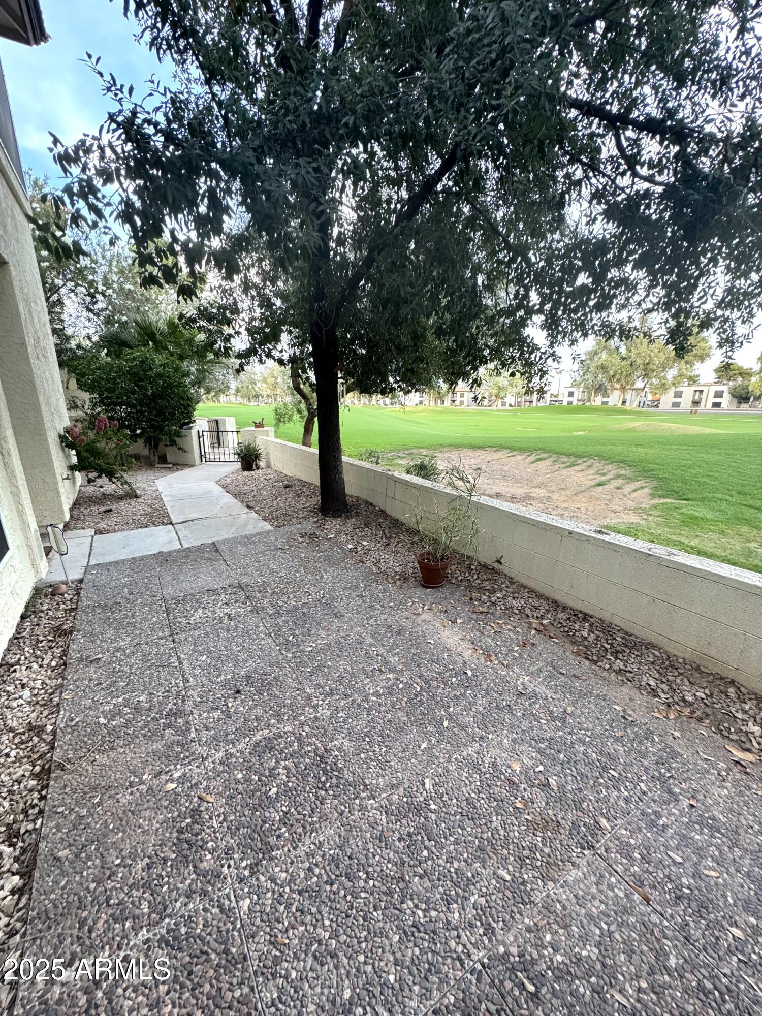 8833 South 51st Street, Unit 3 Phoenix, AZ 85044 - Photo 20 of 26 a view of backyard with tree