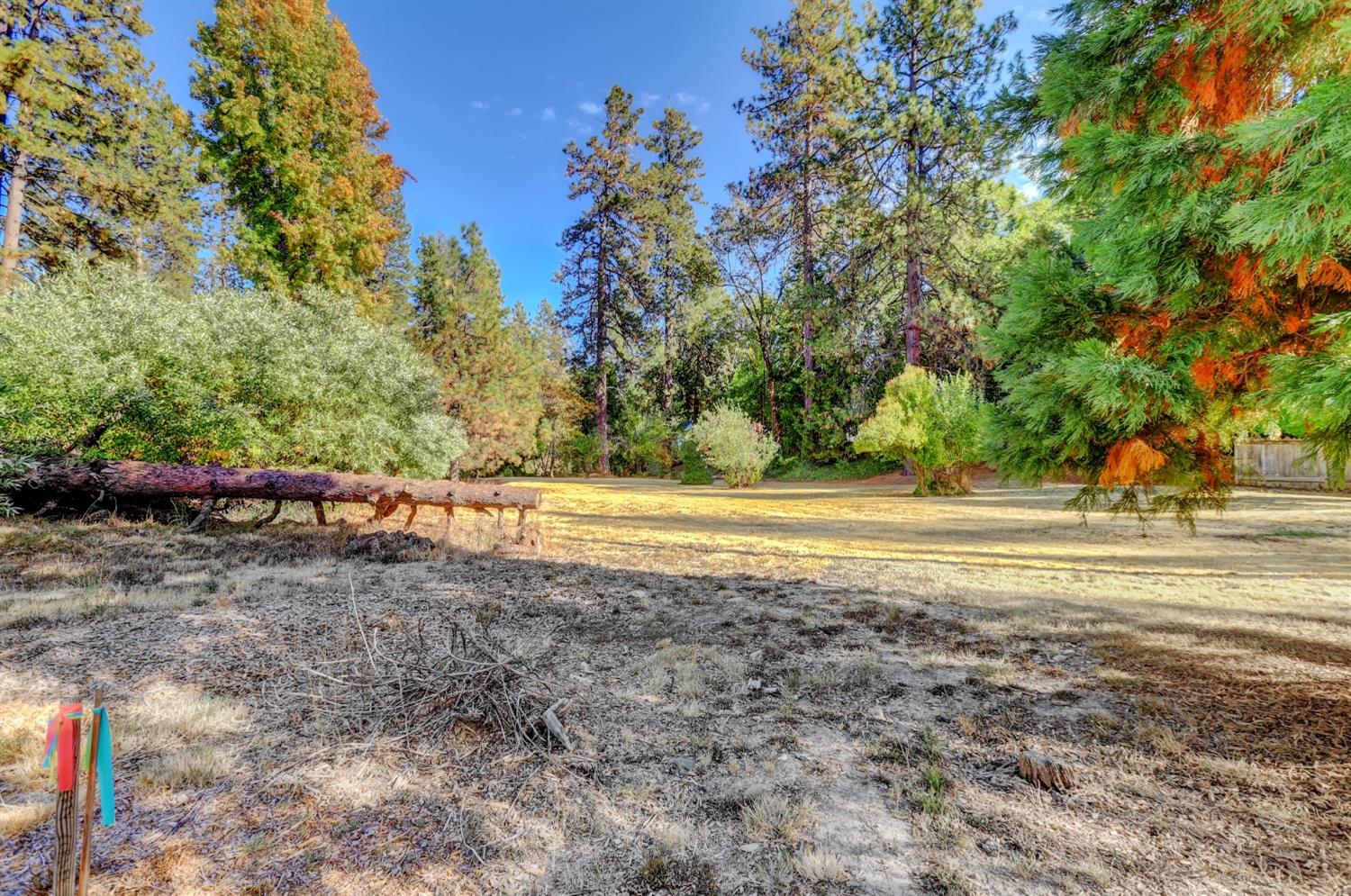 728 Old Washington Road Nevada City, CA 95959 - Photo 12 of 65 a view of backyard with tub and trees