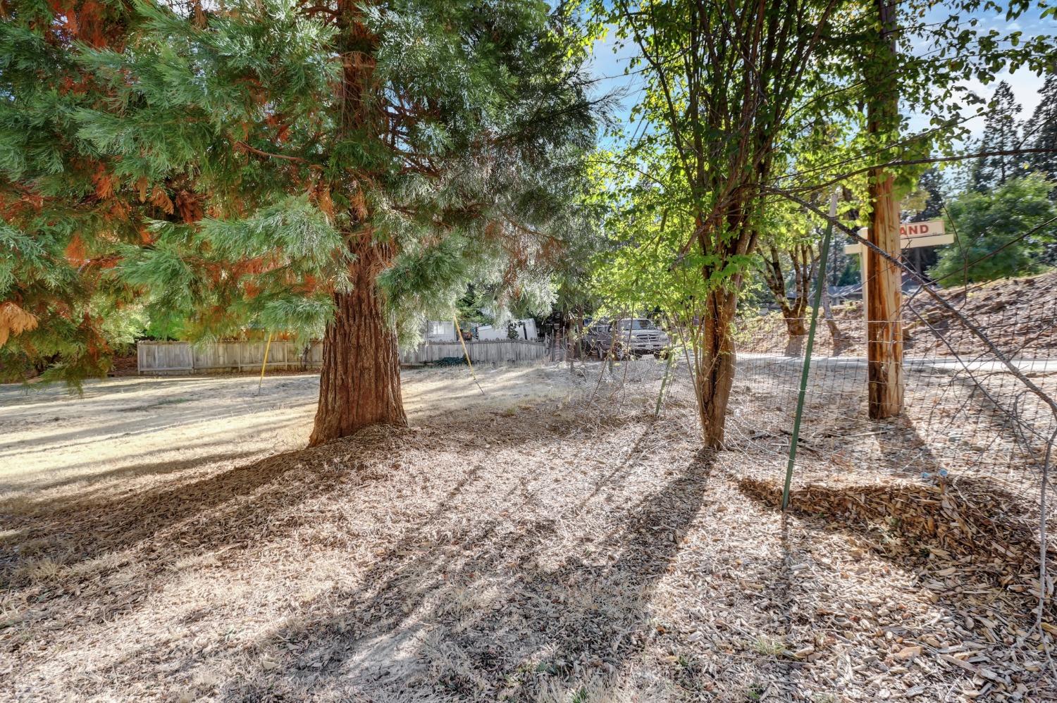 728 Old Washington Road Nevada City, CA 95959 - Photo 13 of 65 a view of a tree in the middle of a yard