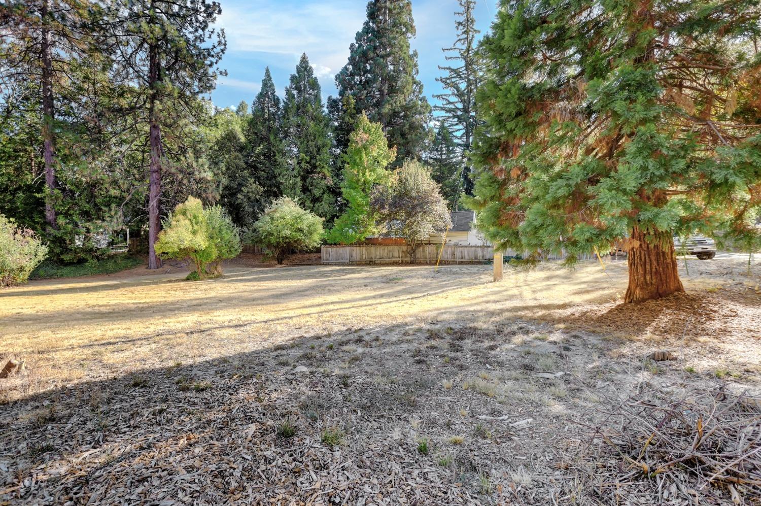 728 Old Washington Road Nevada City, CA 95959 - Photo 14 of 65 a view of a yard with swimming pool