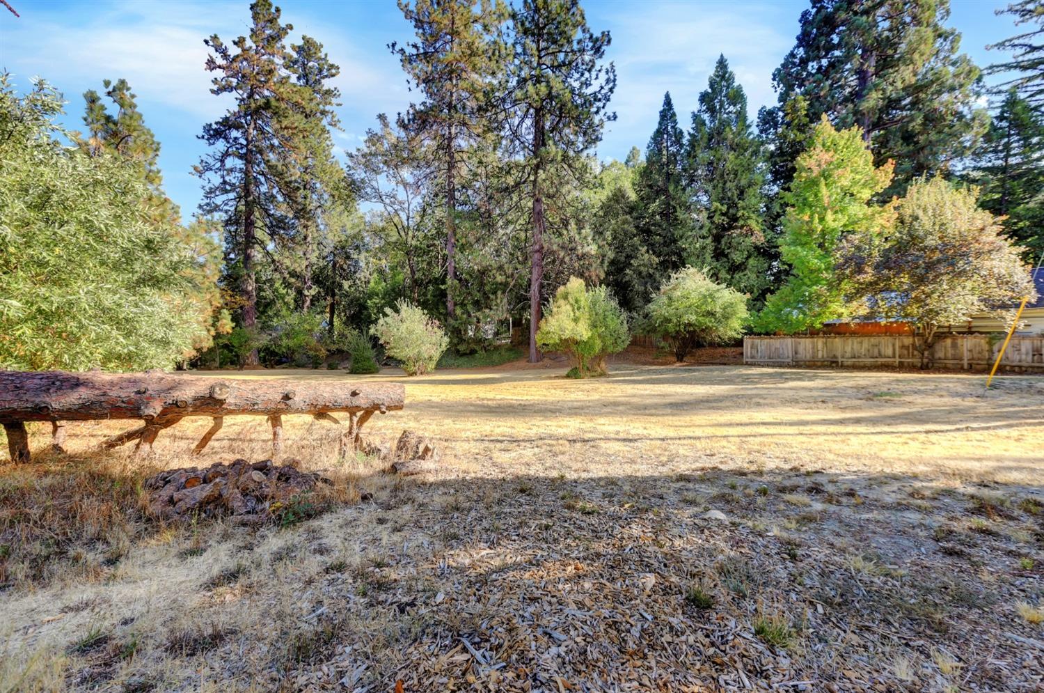 728 Old Washington Road Nevada City, CA 95959 - Photo 15 of 65 a view of a yard with a tree