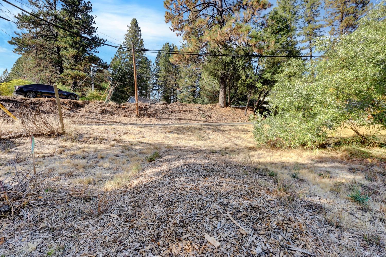 728 Old Washington Road Nevada City, CA 95959 - Photo 16 of 65 a view of outdoor space with trees