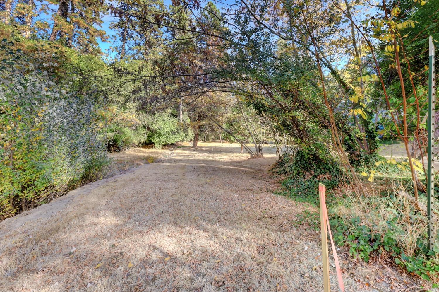 728 Old Washington Road Nevada City, CA 95959 - Photo 19 of 65 a view of outdoor space and yard