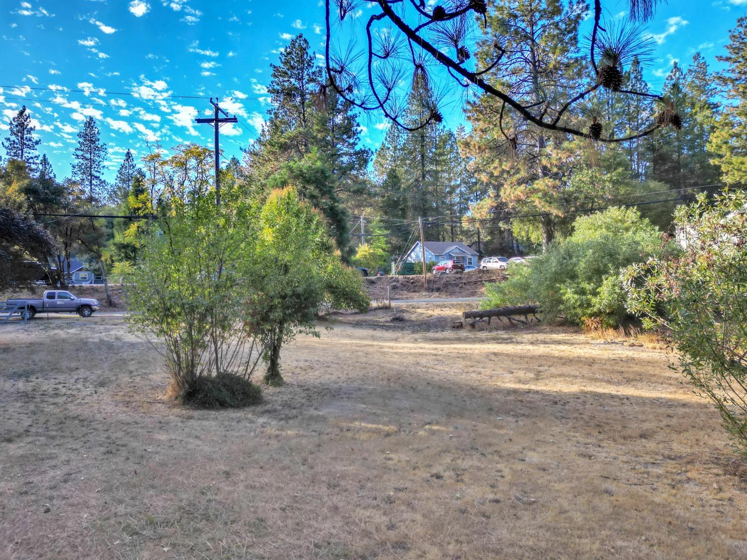 728 Old Washington Road Nevada City, CA 95959 - Photo 2 of 65 a view of a street with potted plants and large trees