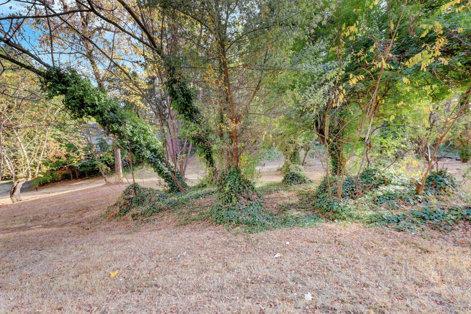 728 Old Washington Road Nevada City, CA 95959 - Photo 21 of 65