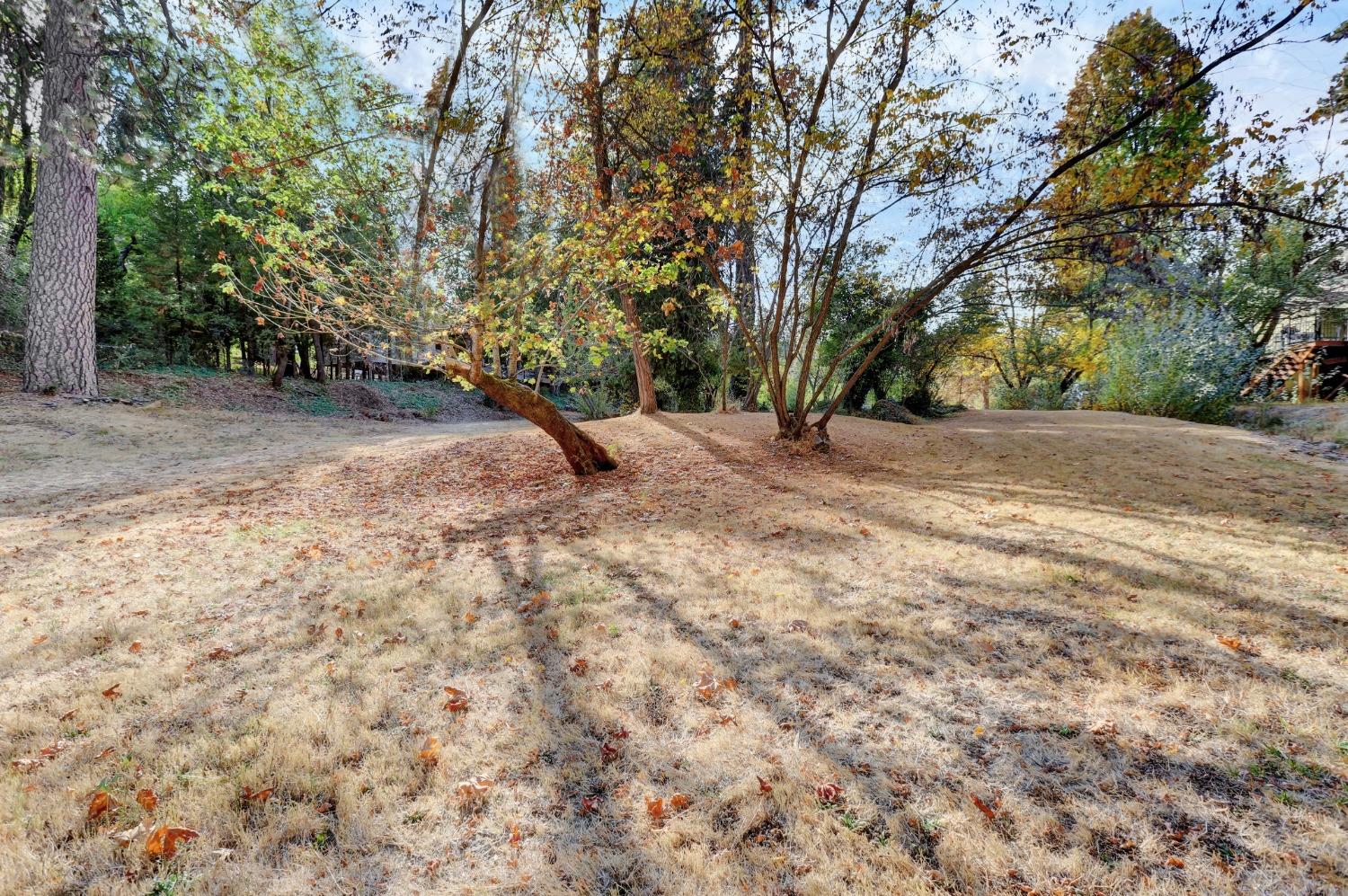 728 Old Washington Road Nevada City, CA 95959 - Photo 24 of 65