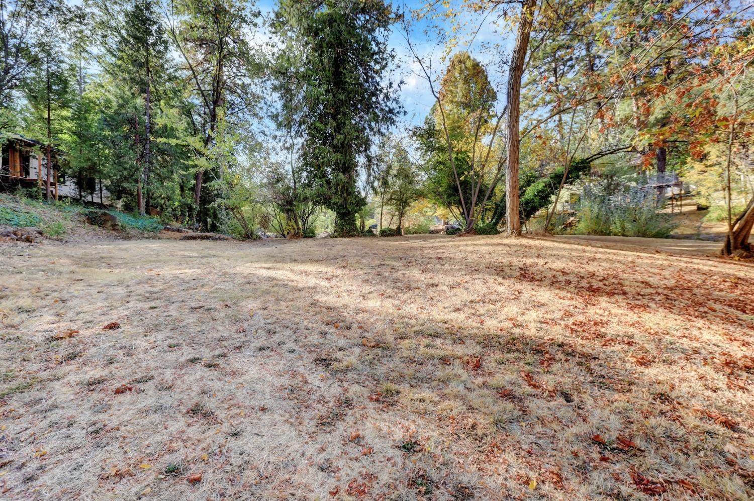 728 Old Washington Road Nevada City, CA 95959 - Photo 25 of 65 a view of a yard with trees in front of it