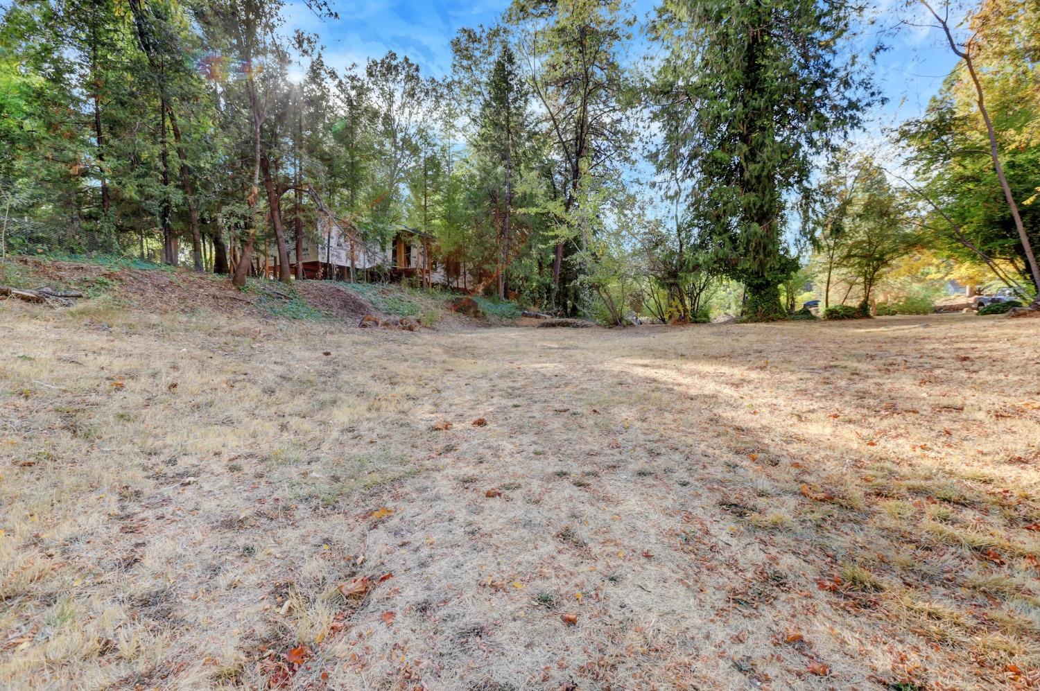 728 Old Washington Road Nevada City, CA 95959 - Photo 26 of 65 a view of a yard with a tree