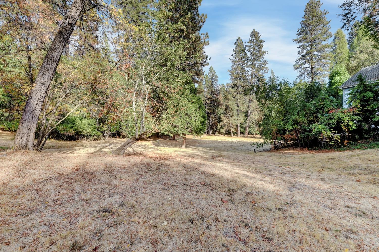 728 Old Washington Road Nevada City, CA 95959 - Photo 29 of 65 a view of backyard with large trees
