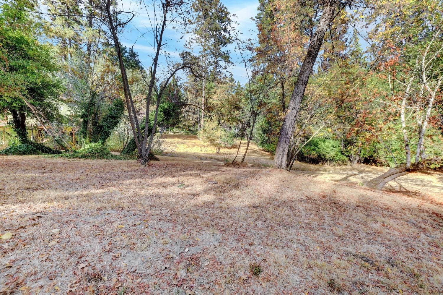 728 Old Washington Road Nevada City, CA 95959 - Photo 30 of 65 a view of dirt yard with a tree