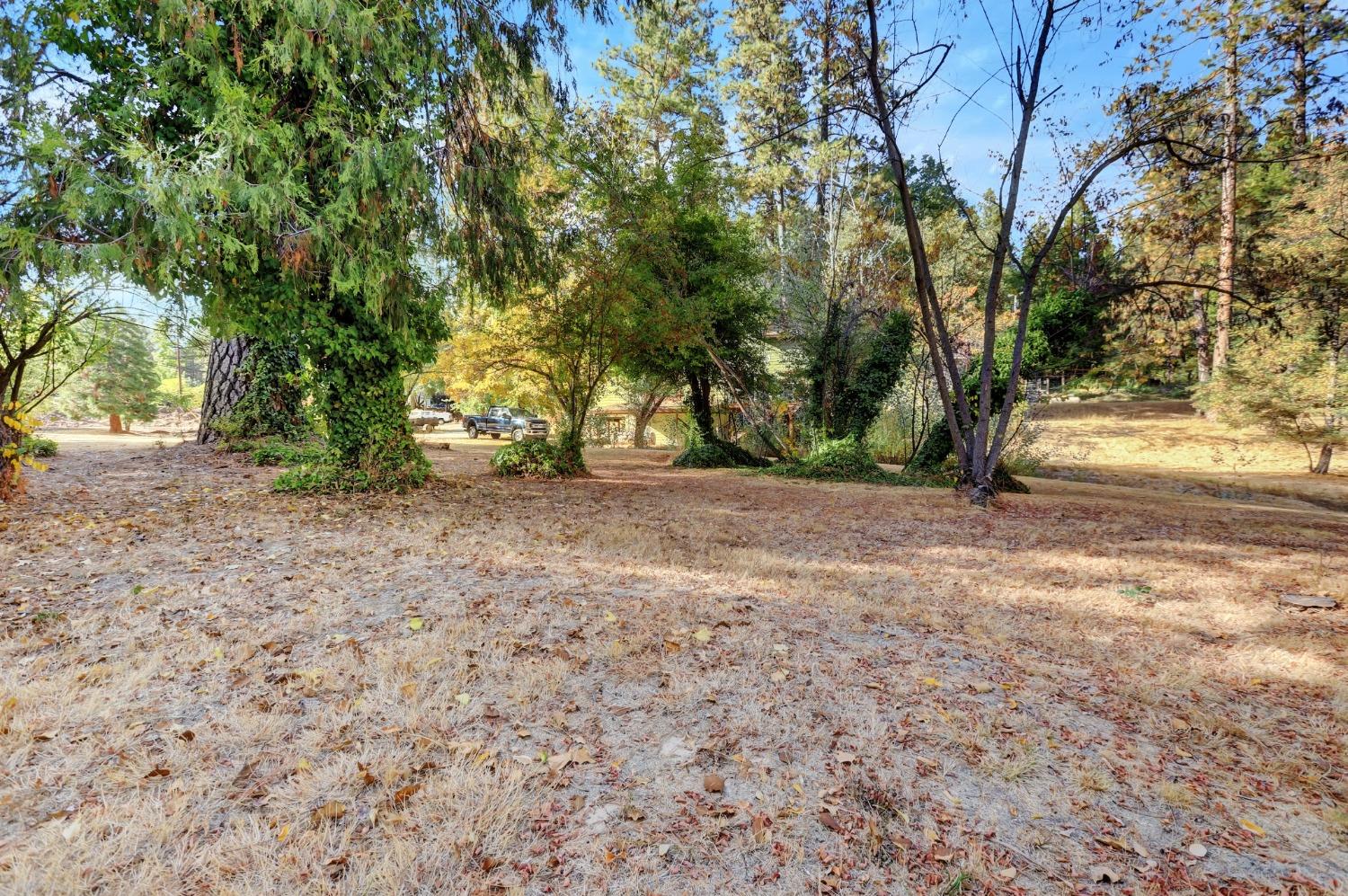 728 Old Washington Road Nevada City, CA 95959 - Photo 31 of 65 a view of dirt yard with a tree