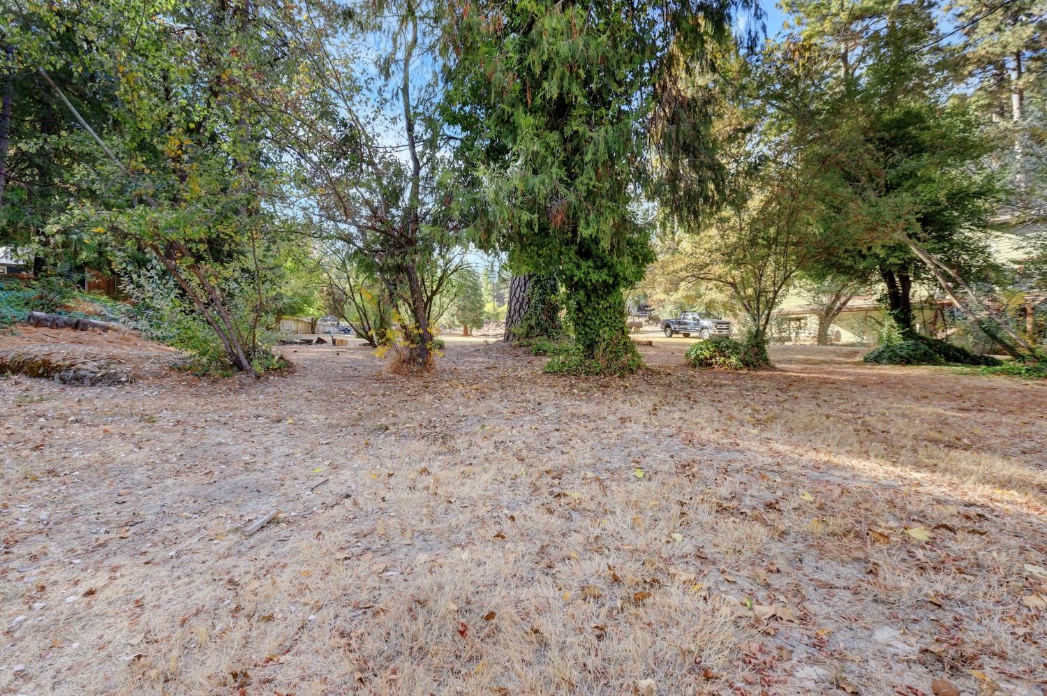 728 Old Washington Road Nevada City, CA 95959 - Photo 32 of 65 a view of a yard with a tree