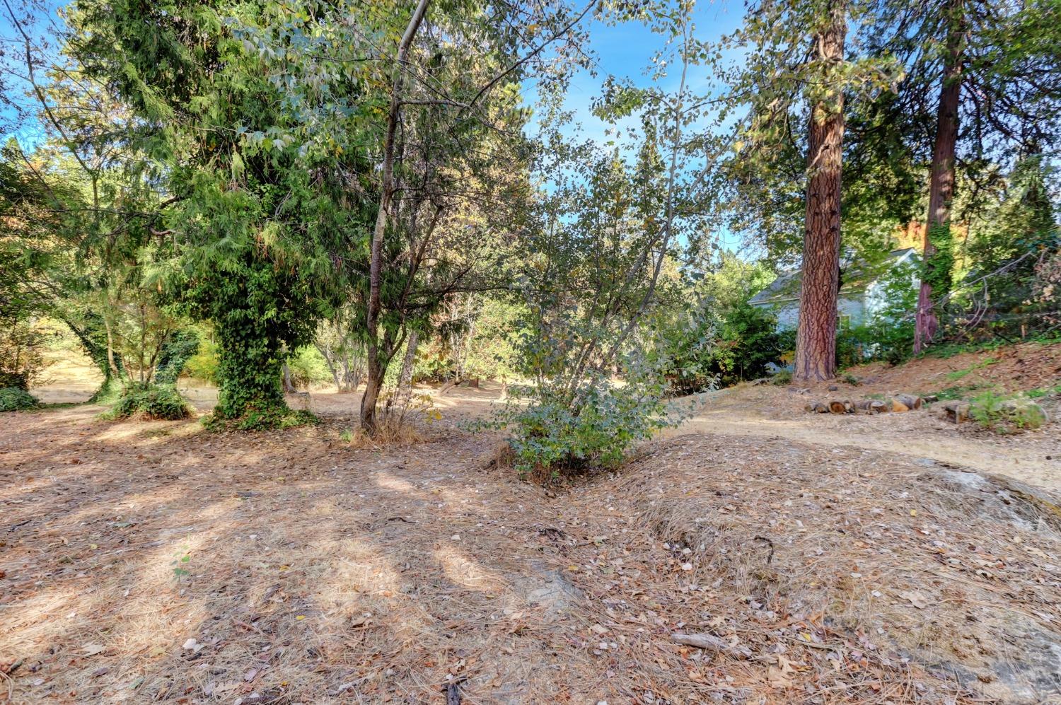 728 Old Washington Road Nevada City, CA 95959 - Photo 34 of 65 a view of a tree in the middle of a yard