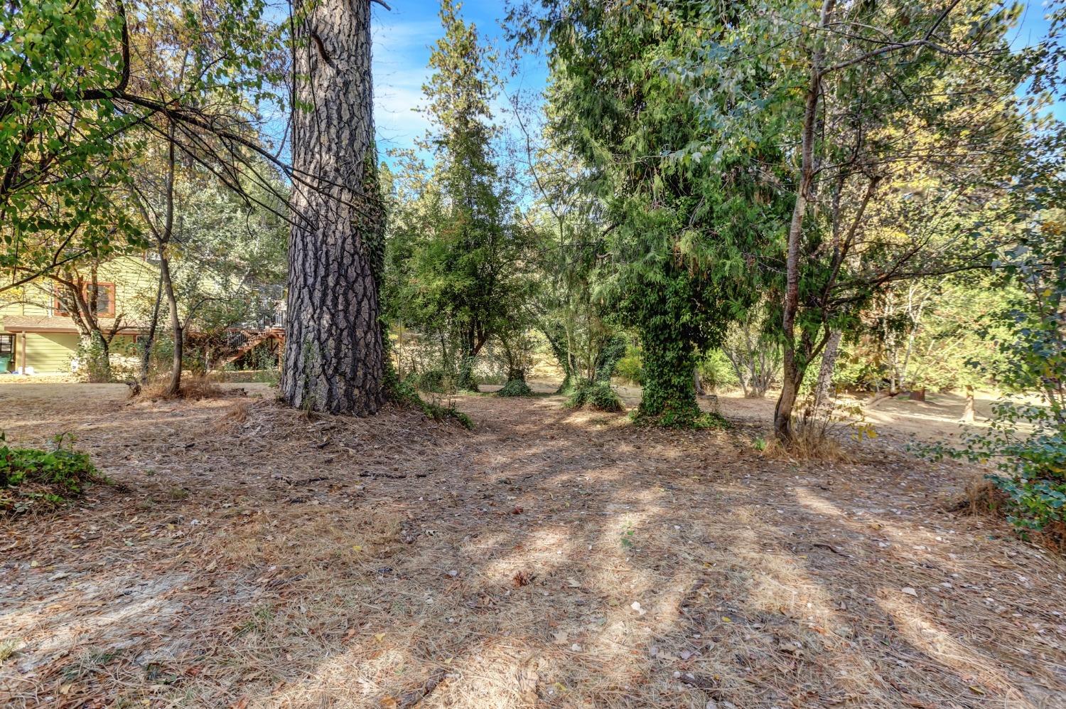 728 Old Washington Road Nevada City, CA 95959 - Photo 35 of 65