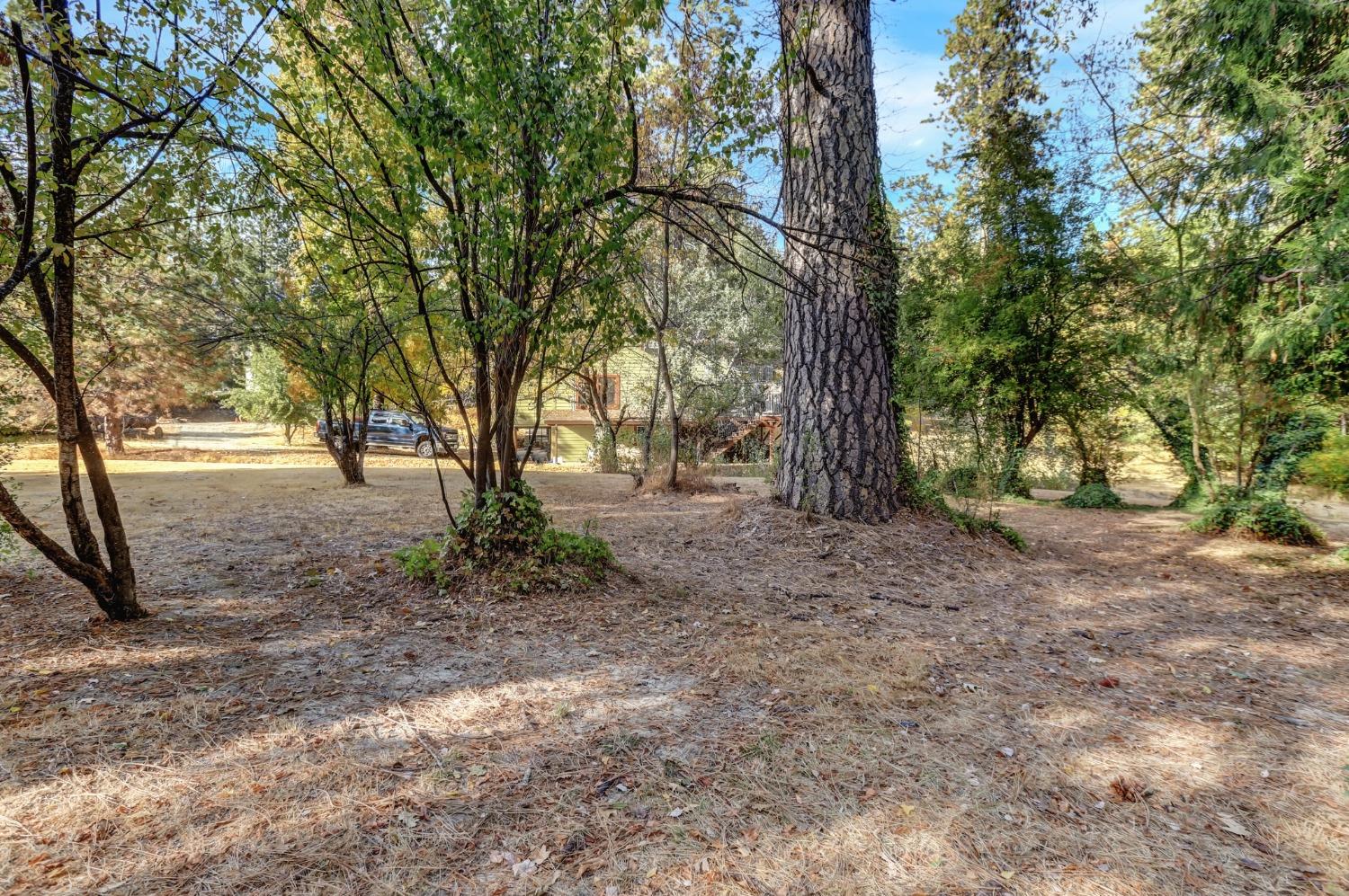 728 Old Washington Road Nevada City, CA 95959 - Photo 36 of 65 a view of outdoor space with trees