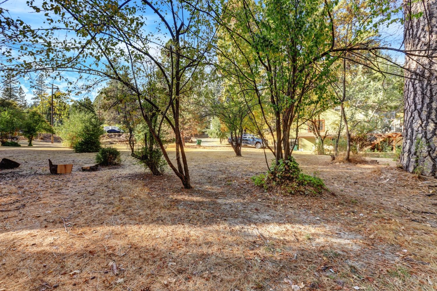 728 Old Washington Road Nevada City, CA 95959 - Photo 37 of 65 a backyard of a house with lots of green space