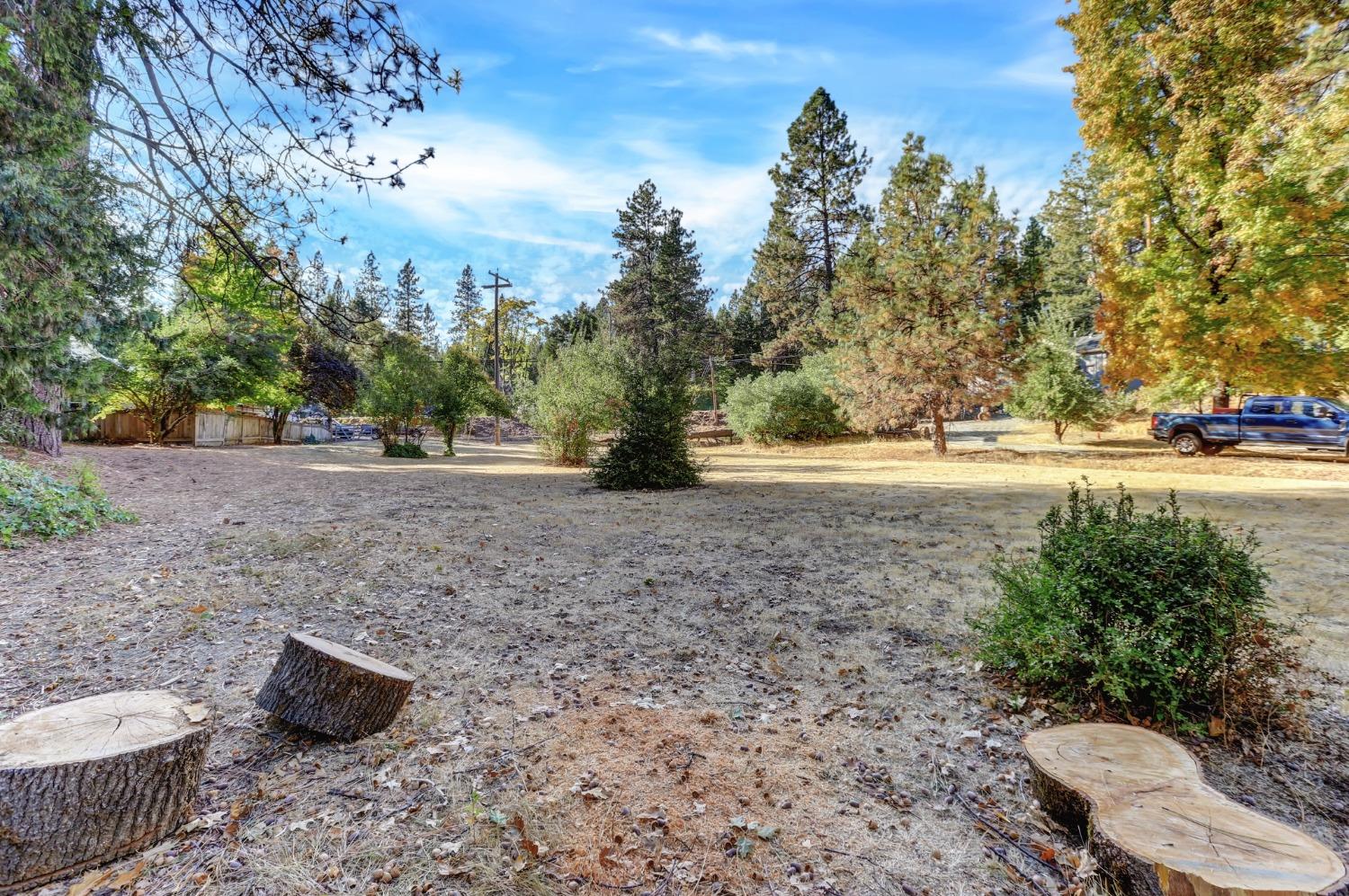 728 Old Washington Road Nevada City, CA 95959 - Photo 41 of 65 a view of a yard with mountain view